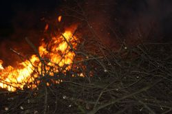 Walpurgisfeuer_Renneritz_Fest 106